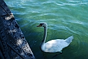 Lago di Como_220